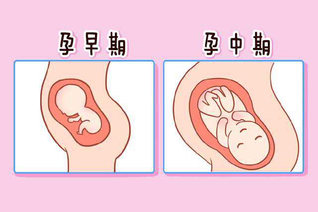 <b>孕期NT正常值揭秘：NT厚度与宝宝智力的秘密关系</b>