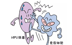 上海供卵试管儿~上海供卵三代成功率~上海试管婴儿捐卵供卵，孕妇能不能吃大
