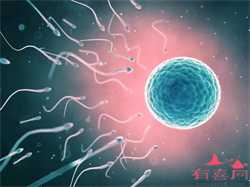 上海借卵流程~上海正规供卵试管医院，为什么婴儿会出现红胎记 红胎记是怎么