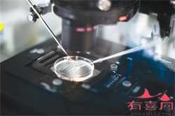 上海哪里供卵靠谱，2022上海哪家医院能做供卵试管婴儿？上海供卵试管去哪家