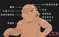 上海正规的代孕中介，上海三代试管婴儿价格多少钱